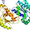10172018_Protein_PFKFB3_wiki