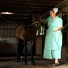 Amish abuse documentary