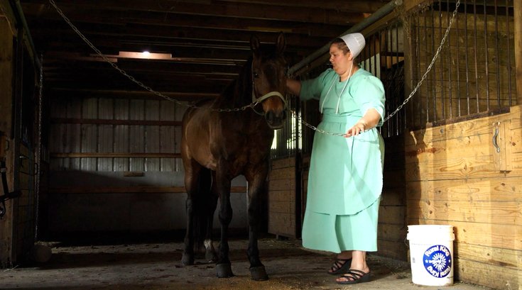Amish abuse documentary