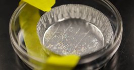 Microplastics health effects
