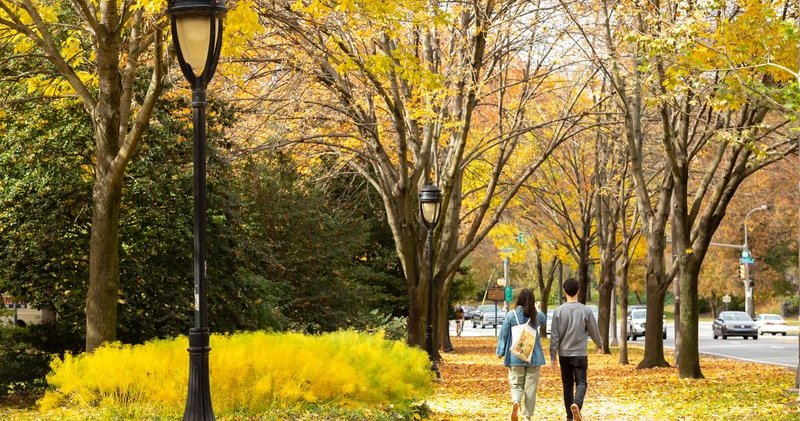 Philly's record-setting dry spell could shorten fall foliage timeline ...