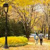 fall foliage dry weather