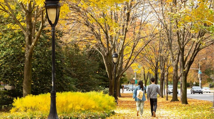 fall foliage dry weather