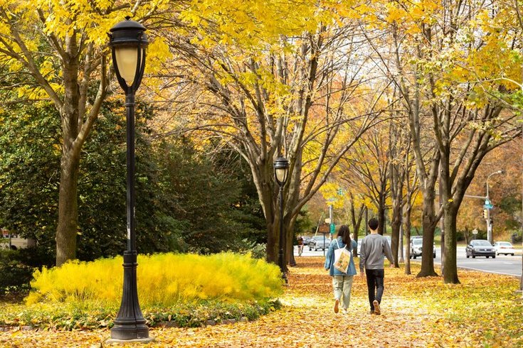 fall foliage dry weather