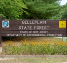Belleplain Forest death