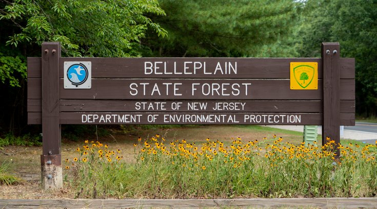 Belleplain Forest death