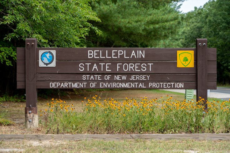 Belleplain Forest death