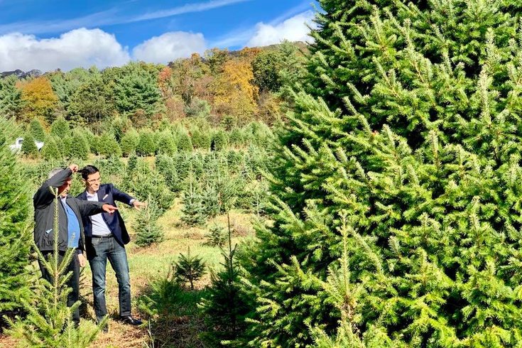 Pennsylvania New Jersey Christmas trees farm 