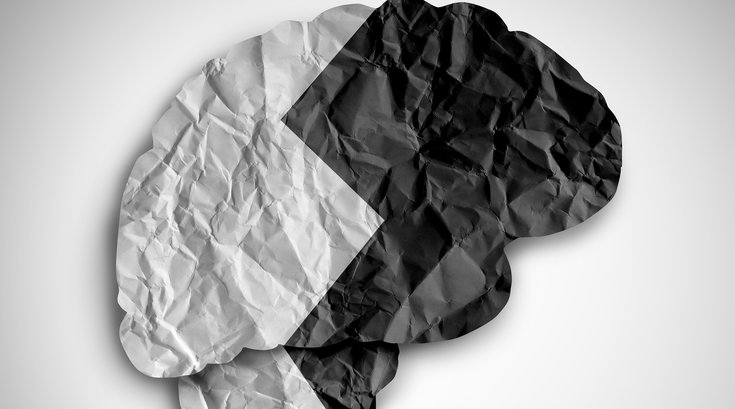 bipolar disorder brain