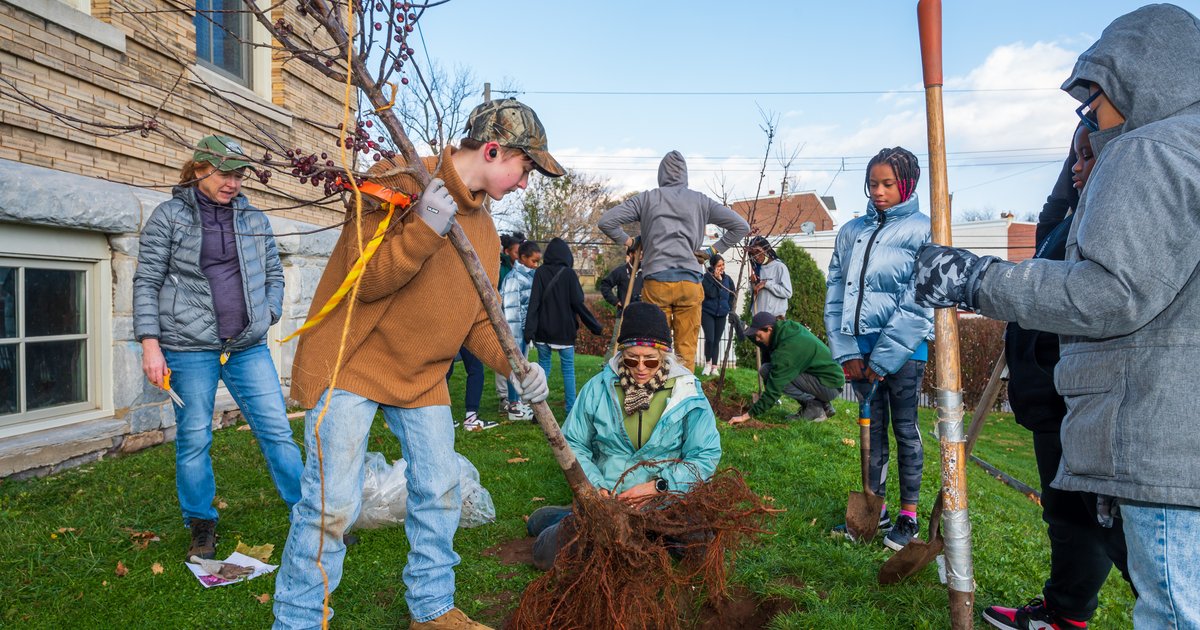 Volunteer opportunity: PHS Tree Tenders to plant 1,770 trees in Philly in November - Vimarsana News