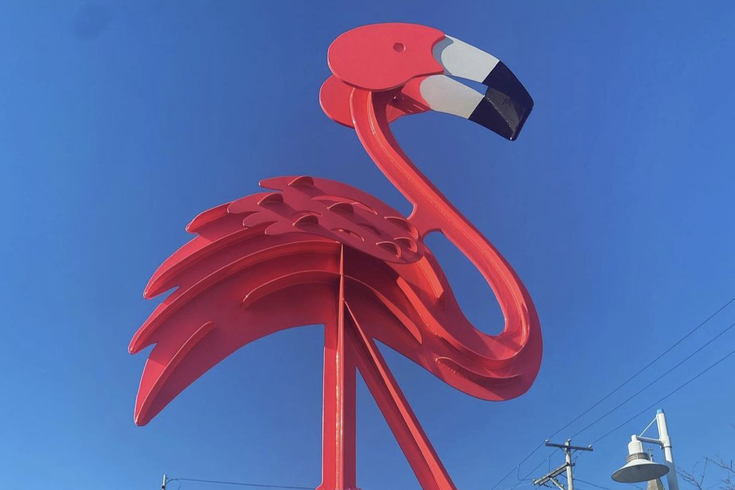 Flamingo Sculpture Manayunk