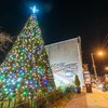 Manayunk Christmas tree