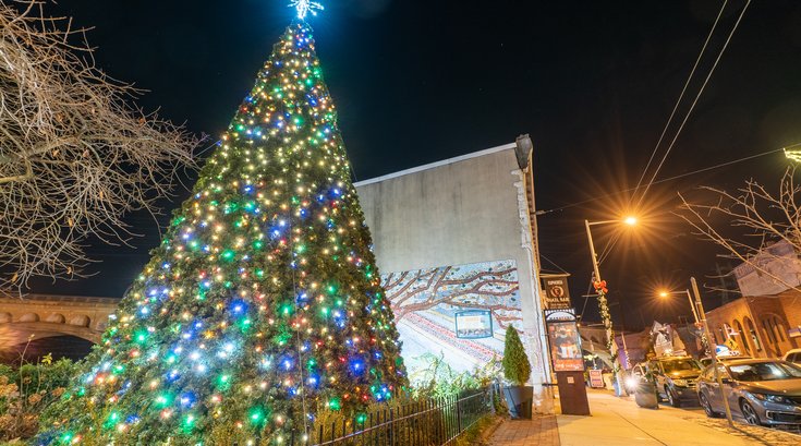 Manayunk Christmas tree