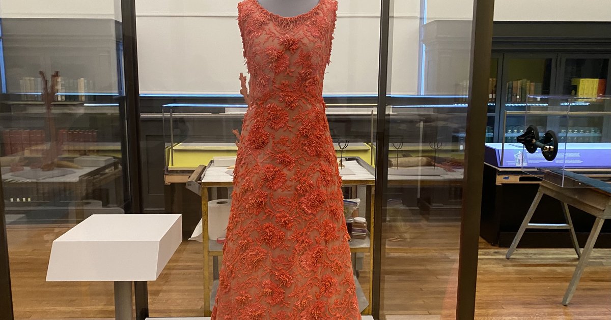 Fashion exhibit showcases thrift shop leftovers with Grace Kelly gown