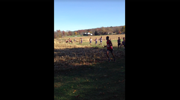 111616_deer_video1