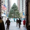 Carroll - Philadelphia Holiday Tree
