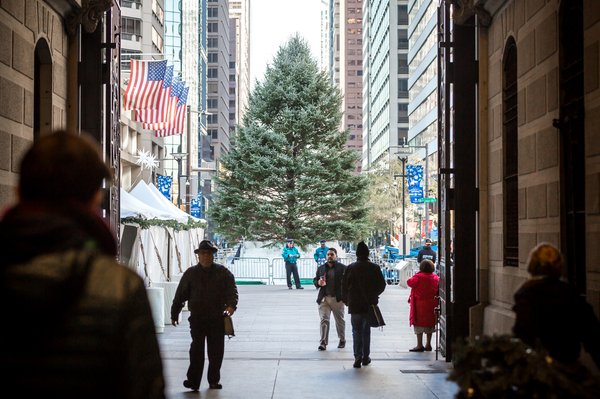 Carroll - Philadelphia Holiday Tree