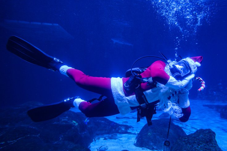 adventure aquarium christmas underwater