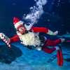 adventure aquarium christmas underwater