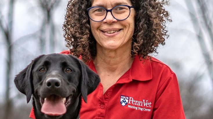 PennVet head dunking