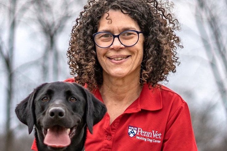 PennVet head dunking
