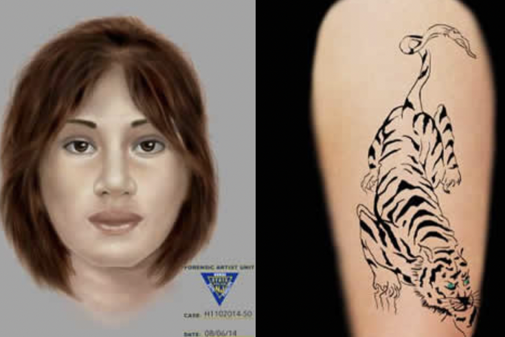Tiger Lady Cold Case