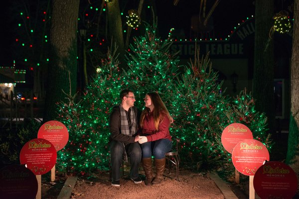 112116_mistletoe