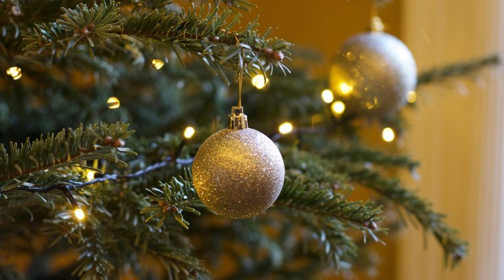 Christmas trees Philly