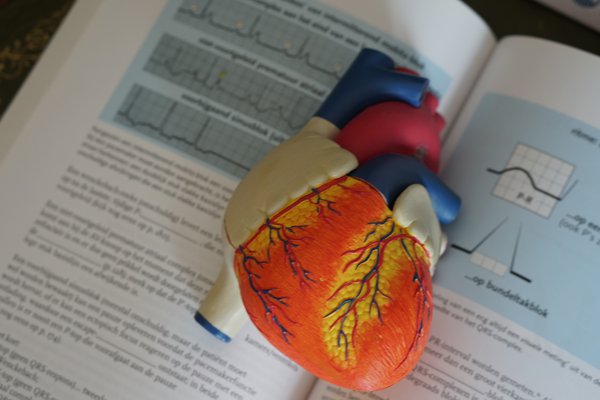 Risk factors for heart disease