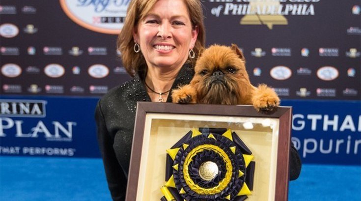 11242017_National_Dog_Show