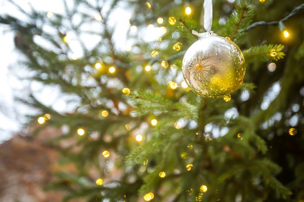 112922 christmas tree.jpg