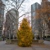 Carroll - Rittenhouse Square holiday tree