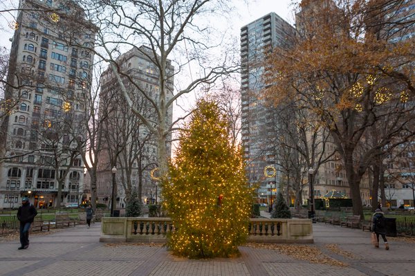 Carroll - Rittenhouse Square holiday tree