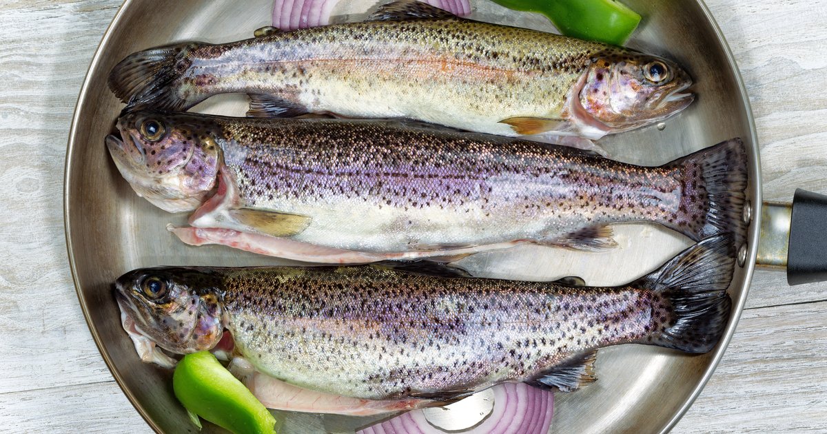 Freshwater Fish and 'Forever Chemicals' Health Issues