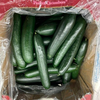 cucumber recall salmonella