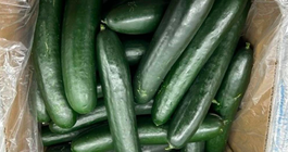 cucumber recall salmonella