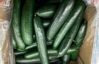 cucumber recall salmonella