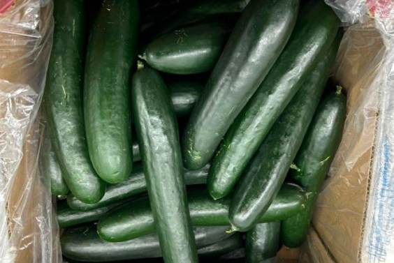 cucumber recall salmonella