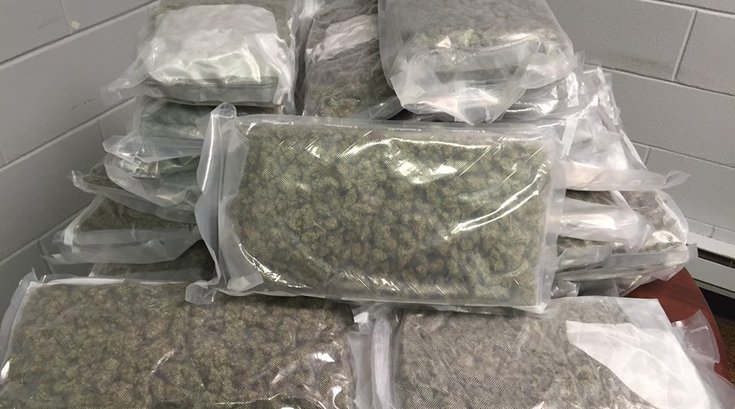 New Jersey pot