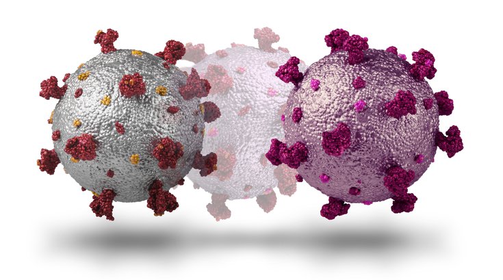 Omicron COVID-19 Variant