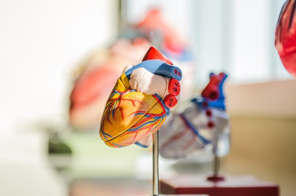 Myocarditis COVID-19 vaccines