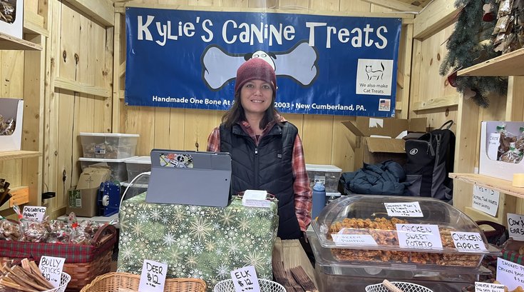 kylie's canine treats christmas village