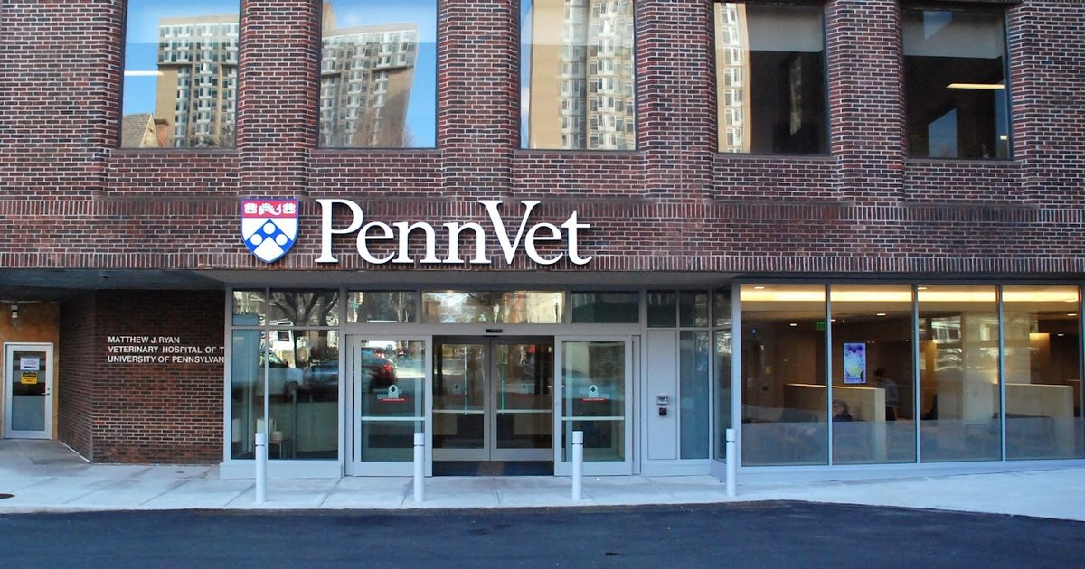 Pennsylvania House denies funding to Penn's veterinary school following Liz Magill controversy - Vimarsana News