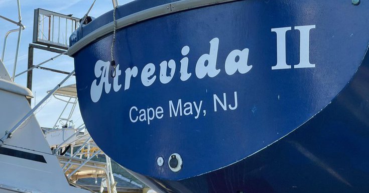 Missing New Jersey sailboat found off Delaware coast; two men, pet dog rescued after 10 days - Vimarsana News
