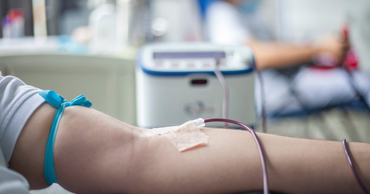 Philly's Mütter Museum to host blood drive as part of Year of Dracula celebration - Vimarsana News
