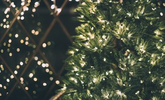 Christmas Tree Recycling