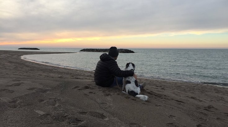 Pennsylvania dog cancer