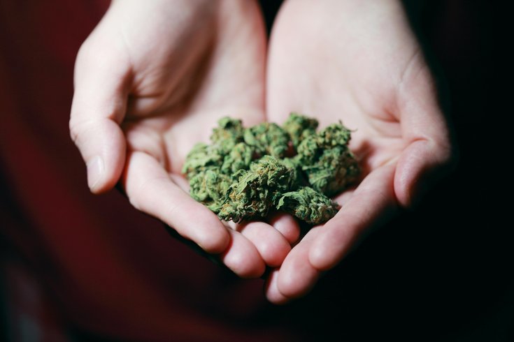 Cookies opens 1st NJ recreational cannabis dispensary - NJBIZ