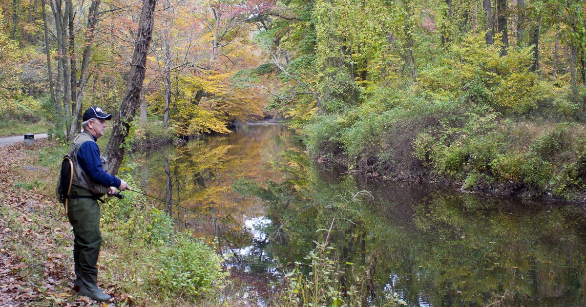 First Day Hikes at Pennsylvania, New Jersey state parks encourage