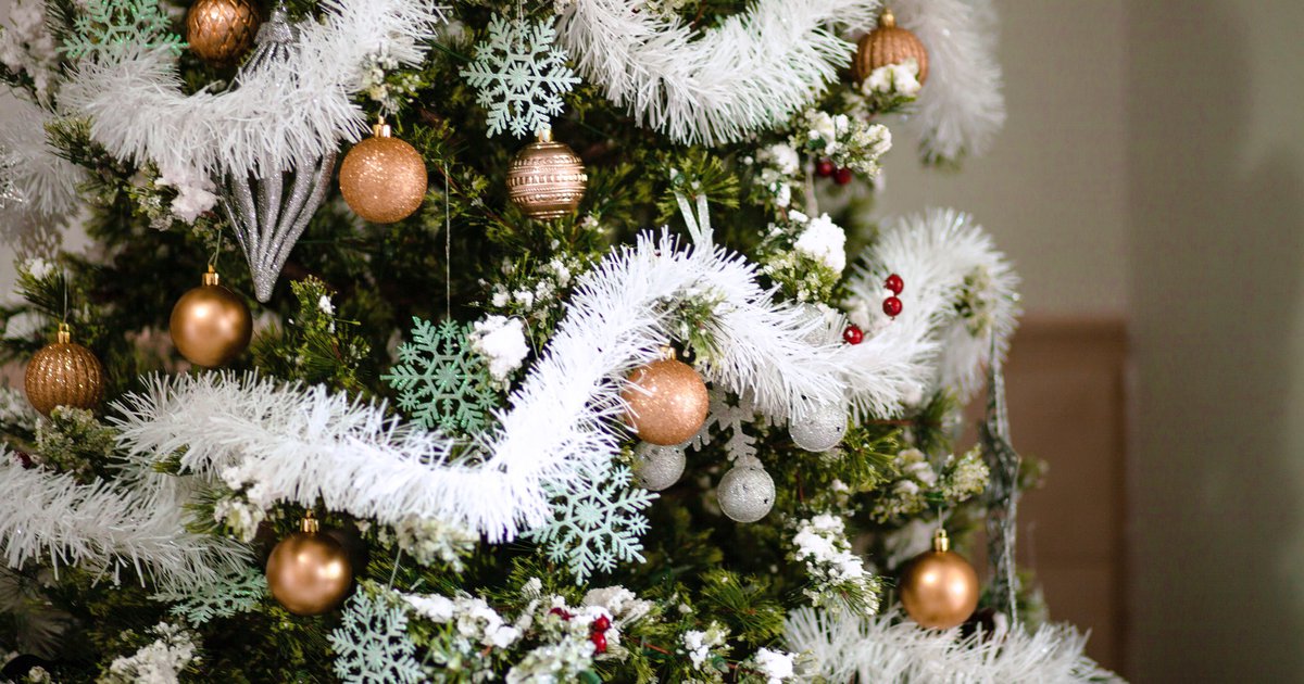 Garbage Pickup Leon County Christmas 2022 How To Recycle Your Christmas Tree In Philadelphia, Including Where It Can  Be Fed To Goats | Phillyvoice